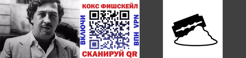 COCAIN Fish Scale  Камызяк 