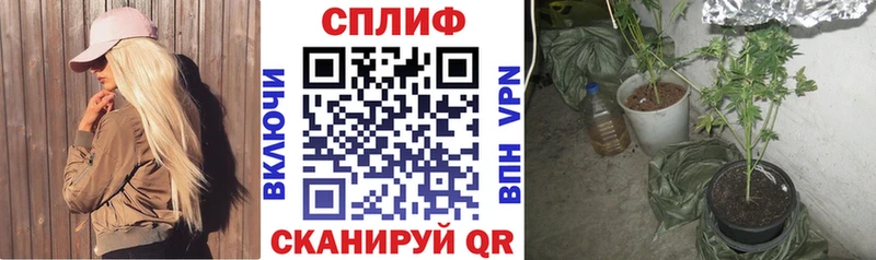 купить закладку  Камызяк  kraken онион  Канабис SATIVA & INDICA 